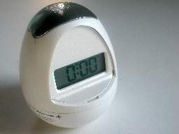 The Egg Timer