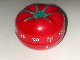What a Tomato